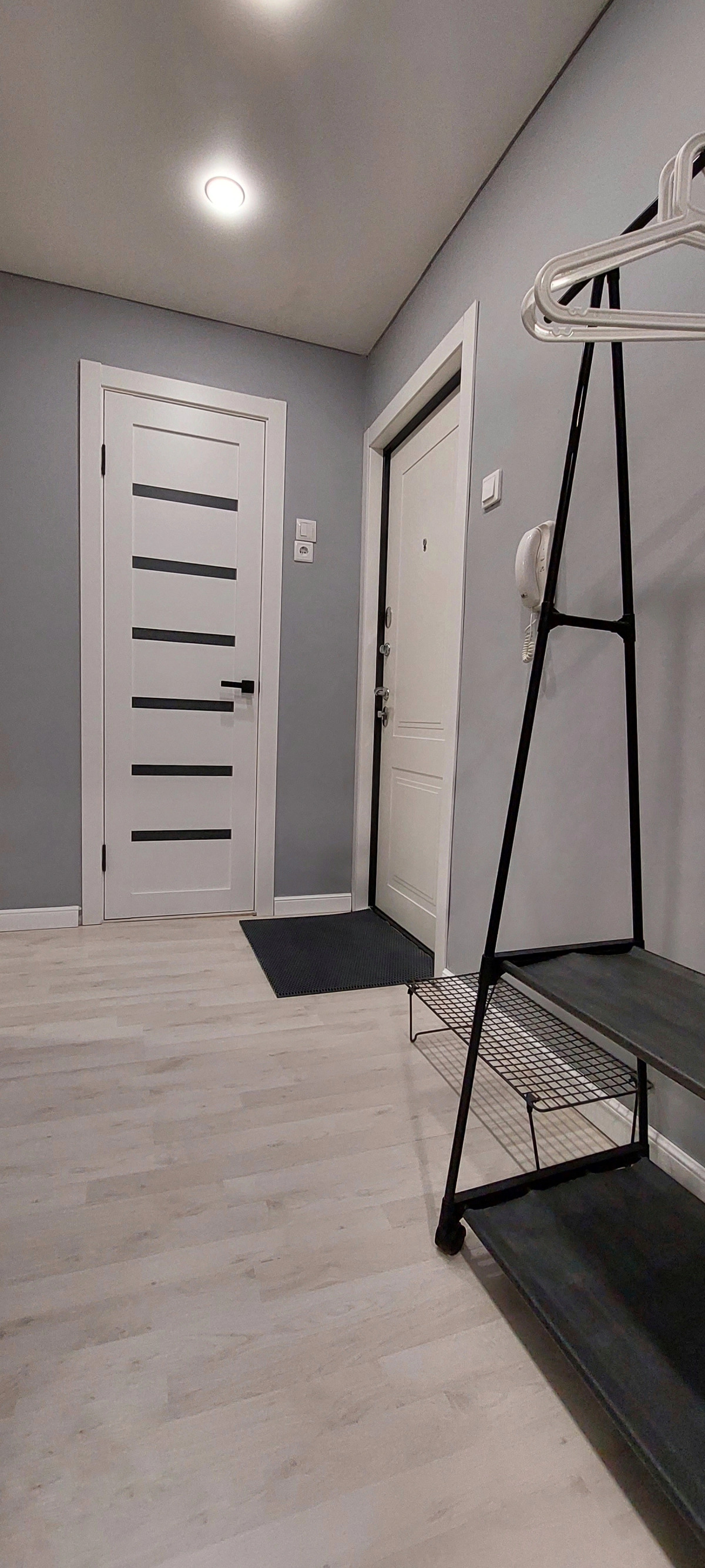 Студия вблизи соснового бора