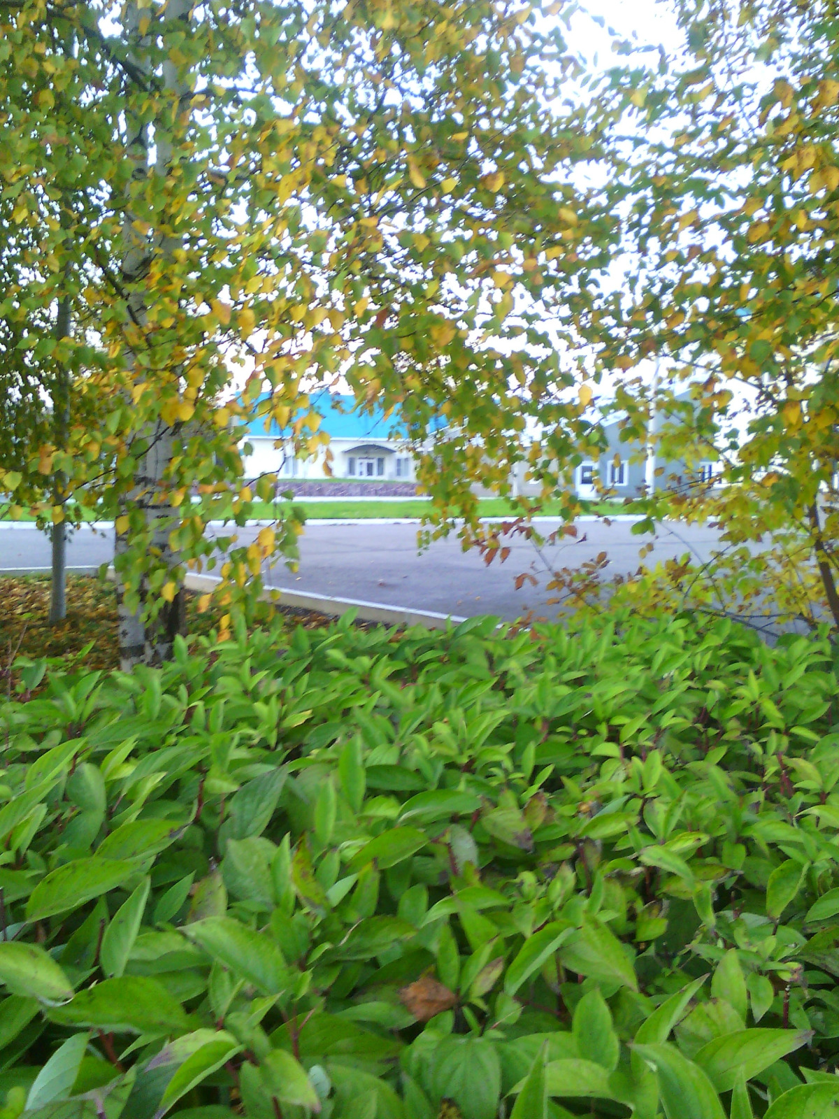 Отель Черемушки