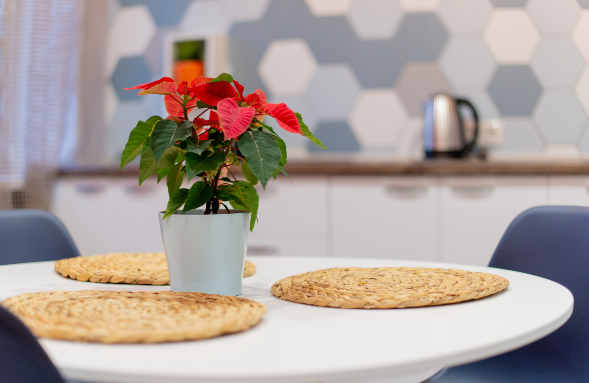 Апартаменты Люкс на Димитрова