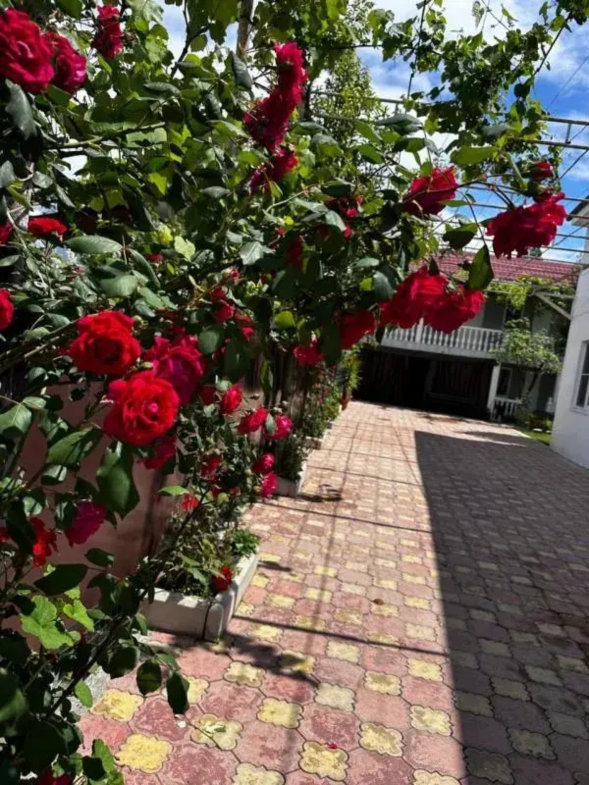 Отель Kavo-de-Bukso