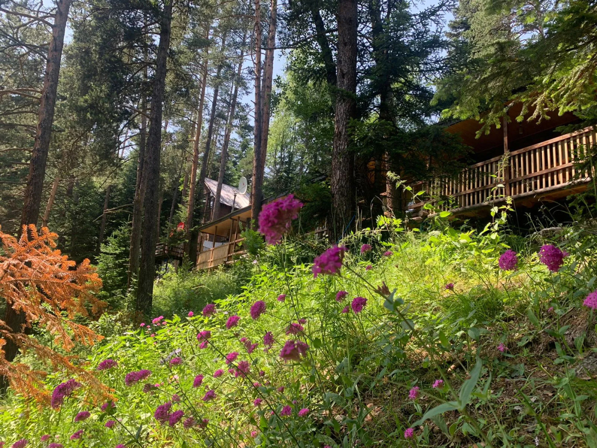 База отдыха Solur