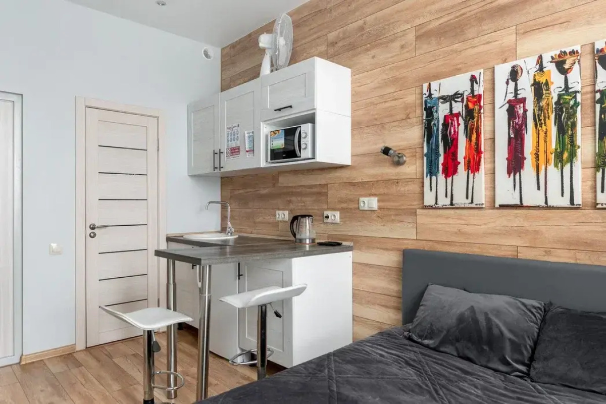 Апартаменты Букинист 233/1