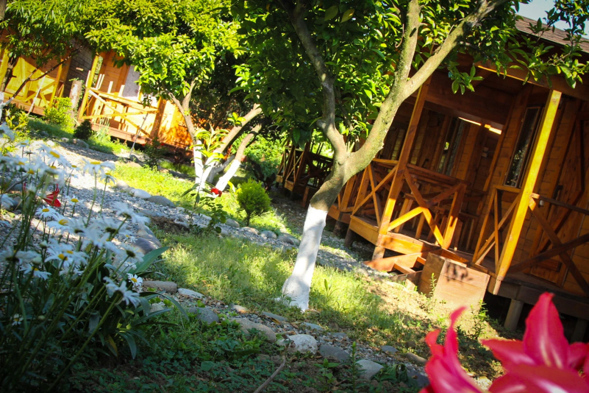 База отдыха Теремки