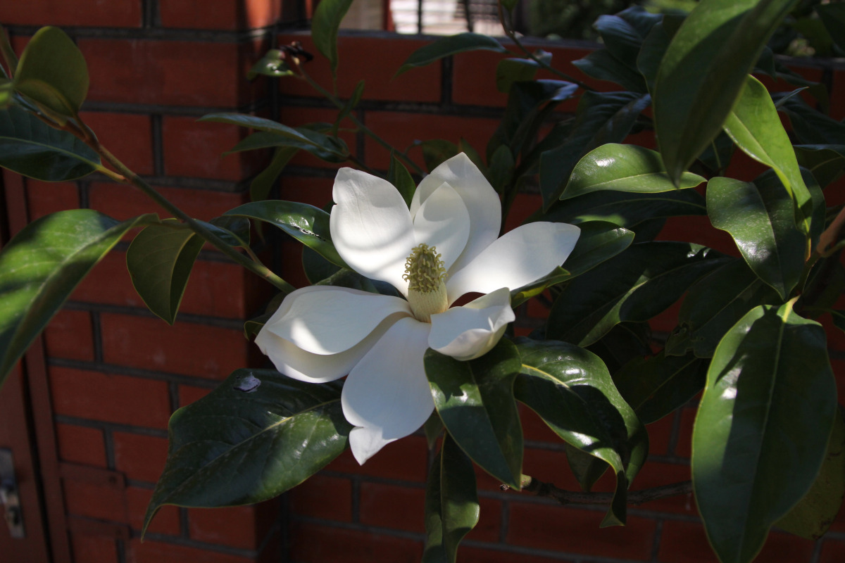 Гостевой Дом Aksis House