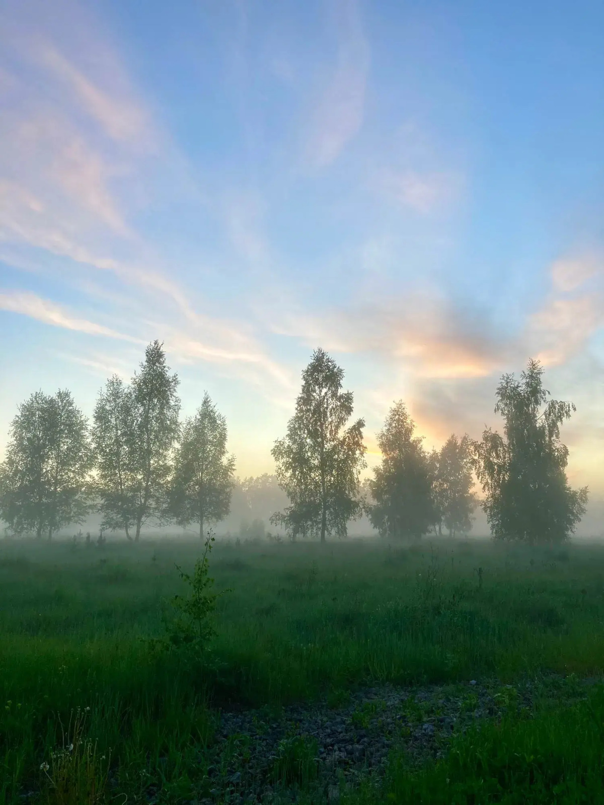 База отдыха Экопарк Бобровый Мыс