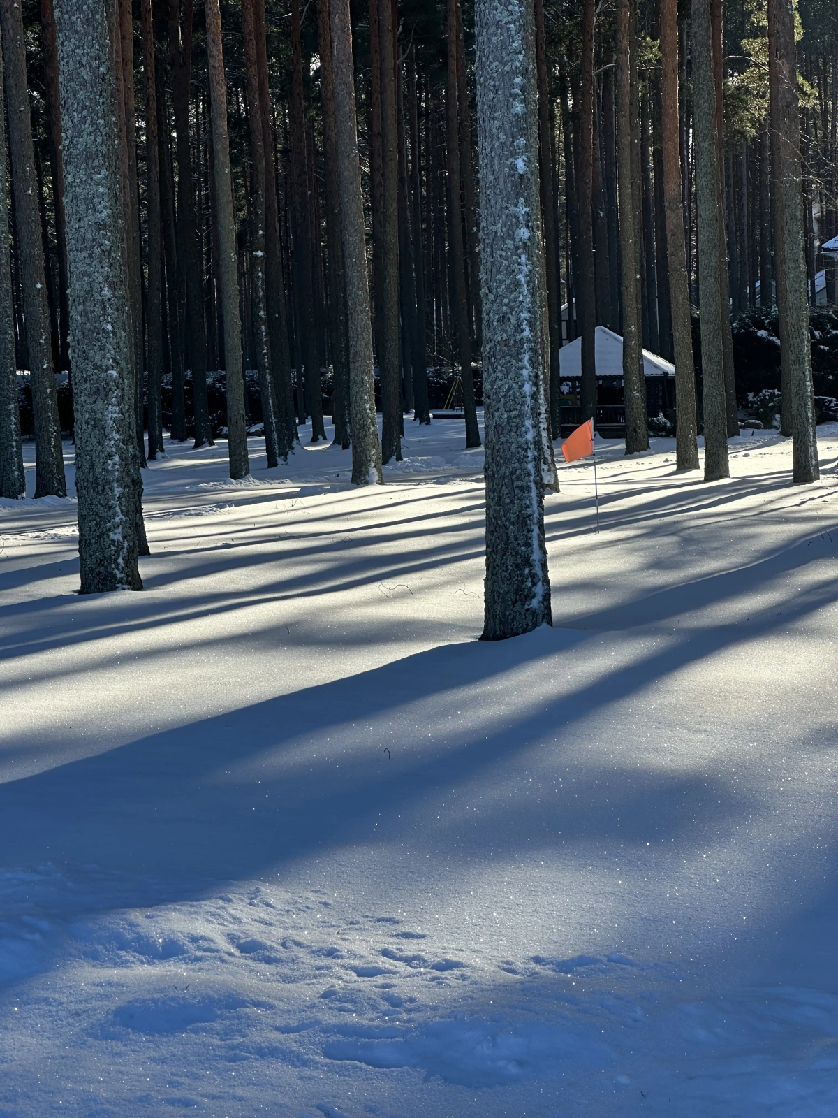 Дом на берегу Псковского озера