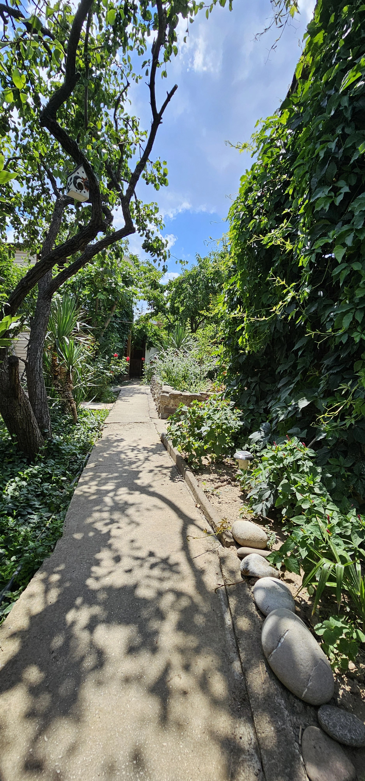 Гостевой Дом Янаки