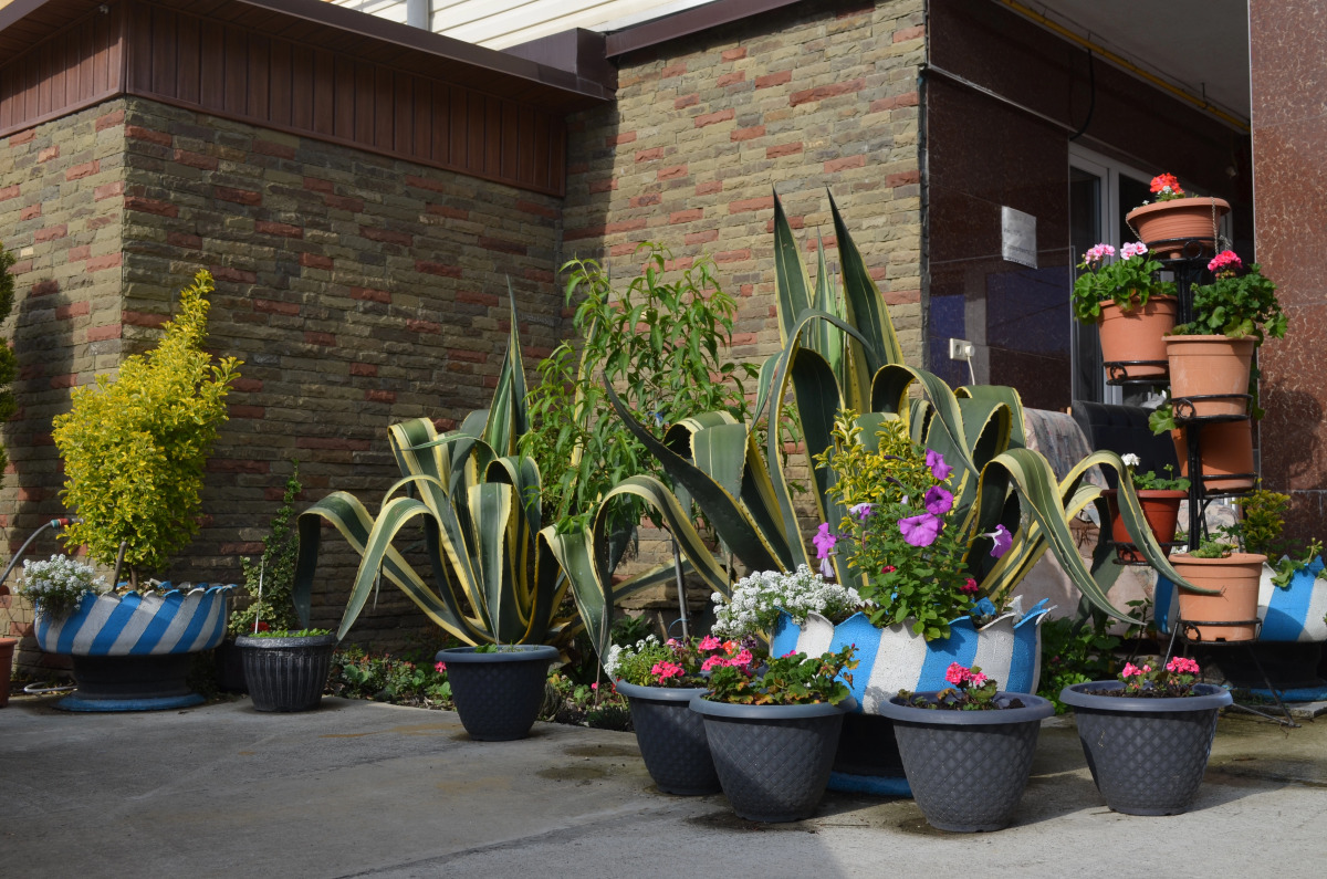 Гостевой Дом Джемма