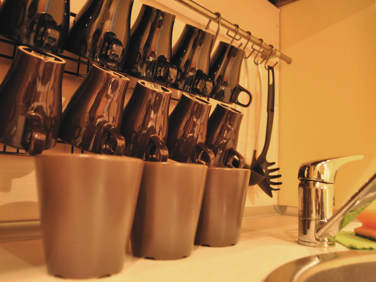 Suricata Hostel