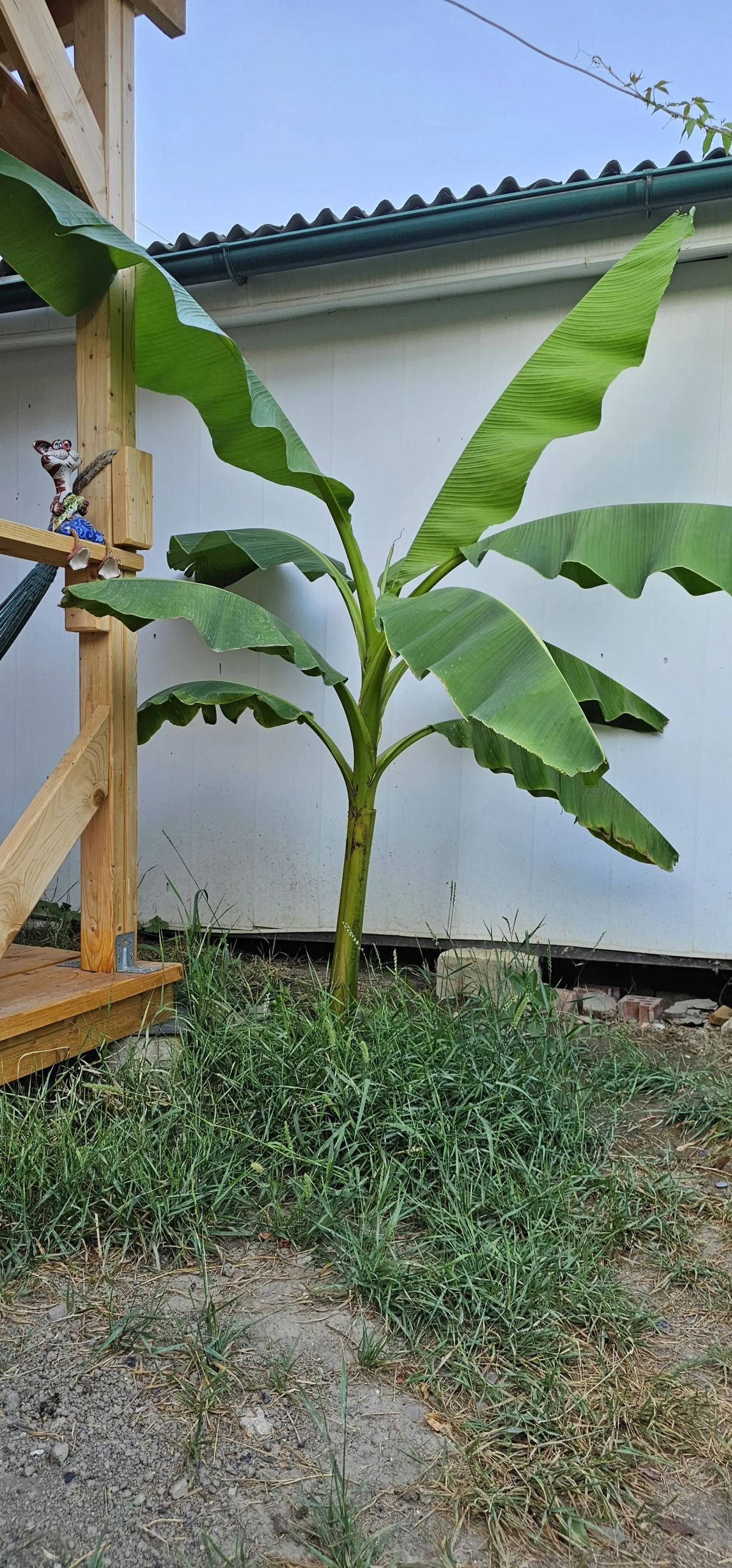 Гостевой Дом Янаки