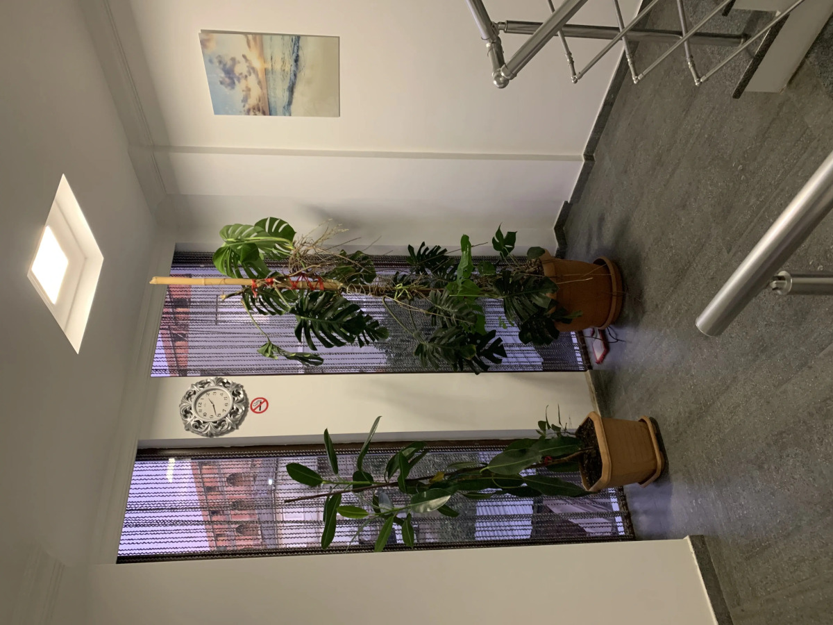 Отель My House Gonio