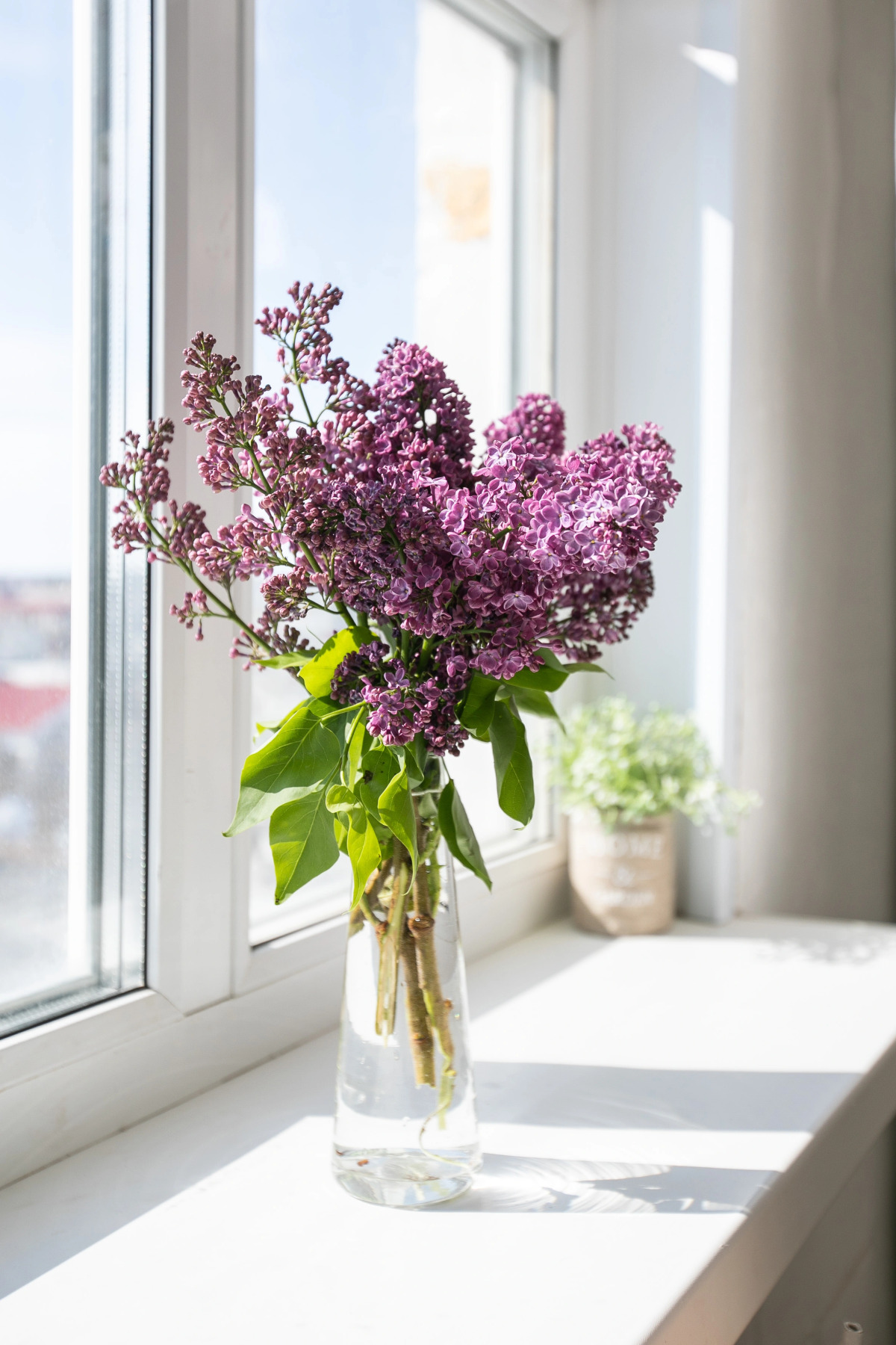 Апартаменты Сибирская 45