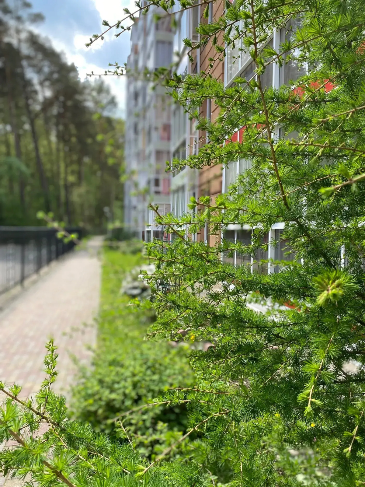 Квартира Sunny Forest