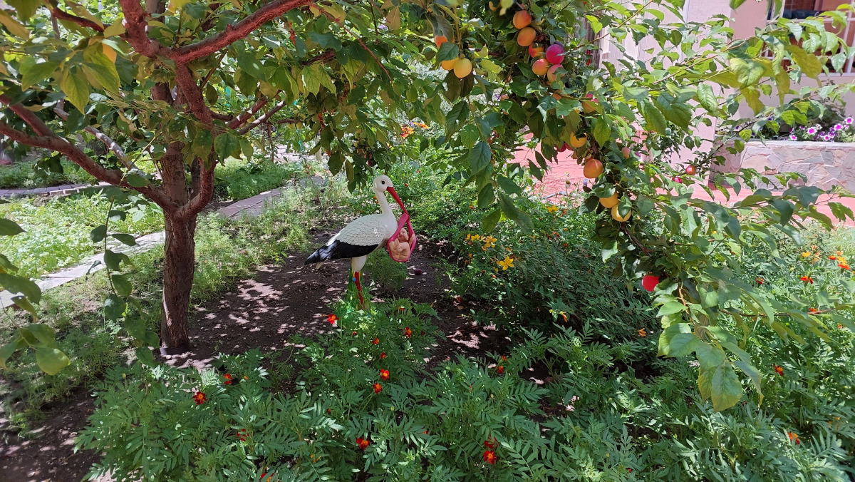 Гостевой Дом Отдых у Александра