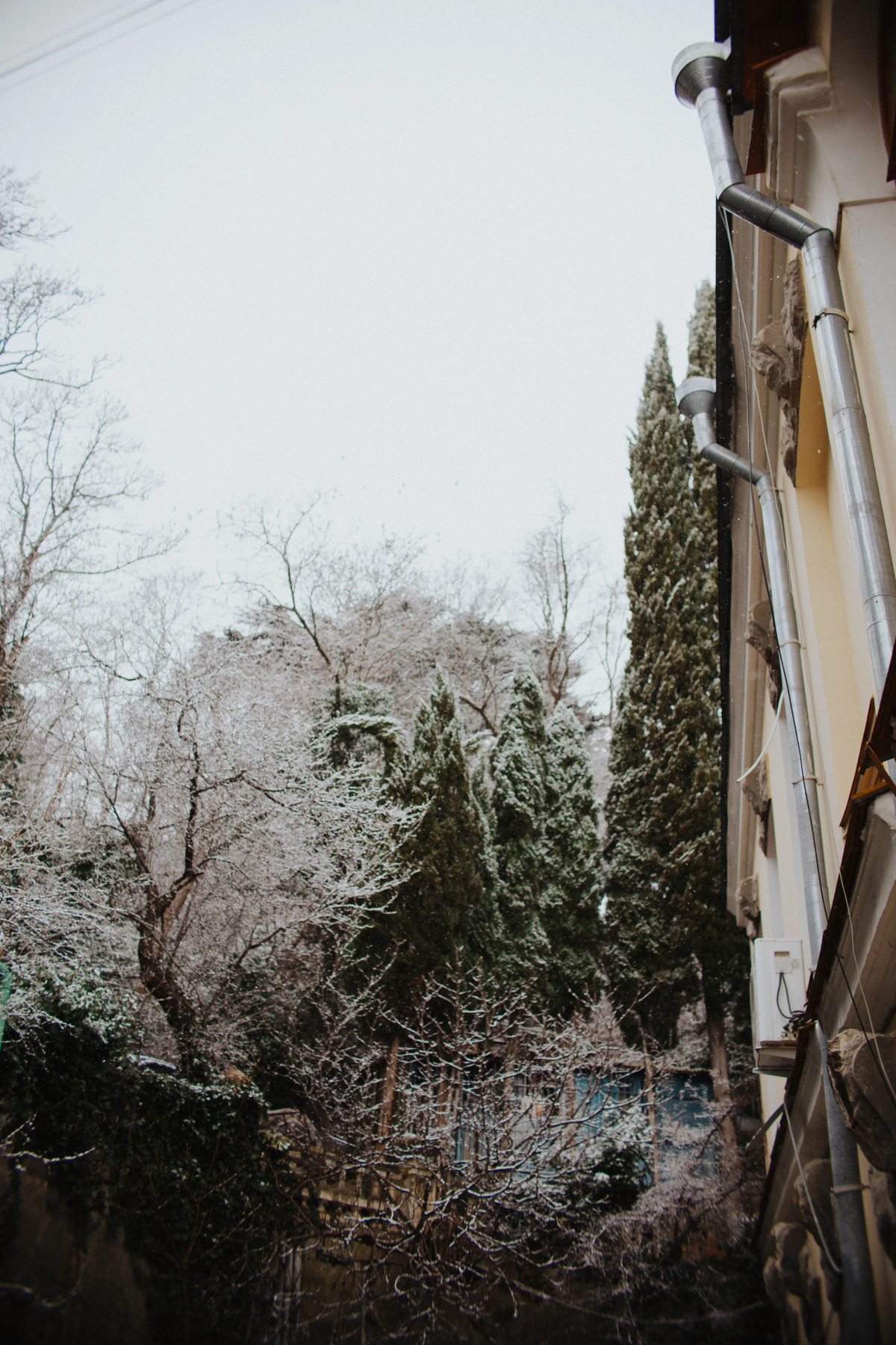 Меблированные Комнаты Villa 7