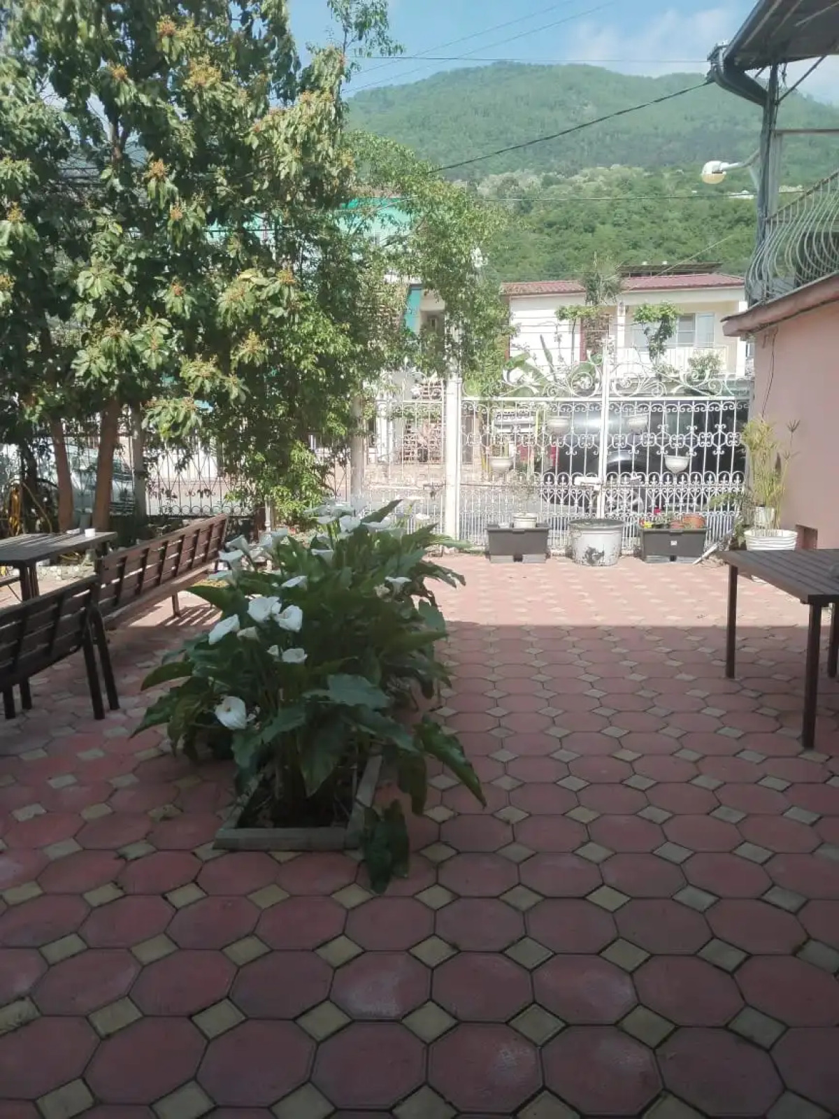 Гостевой дом Зеленый дворик