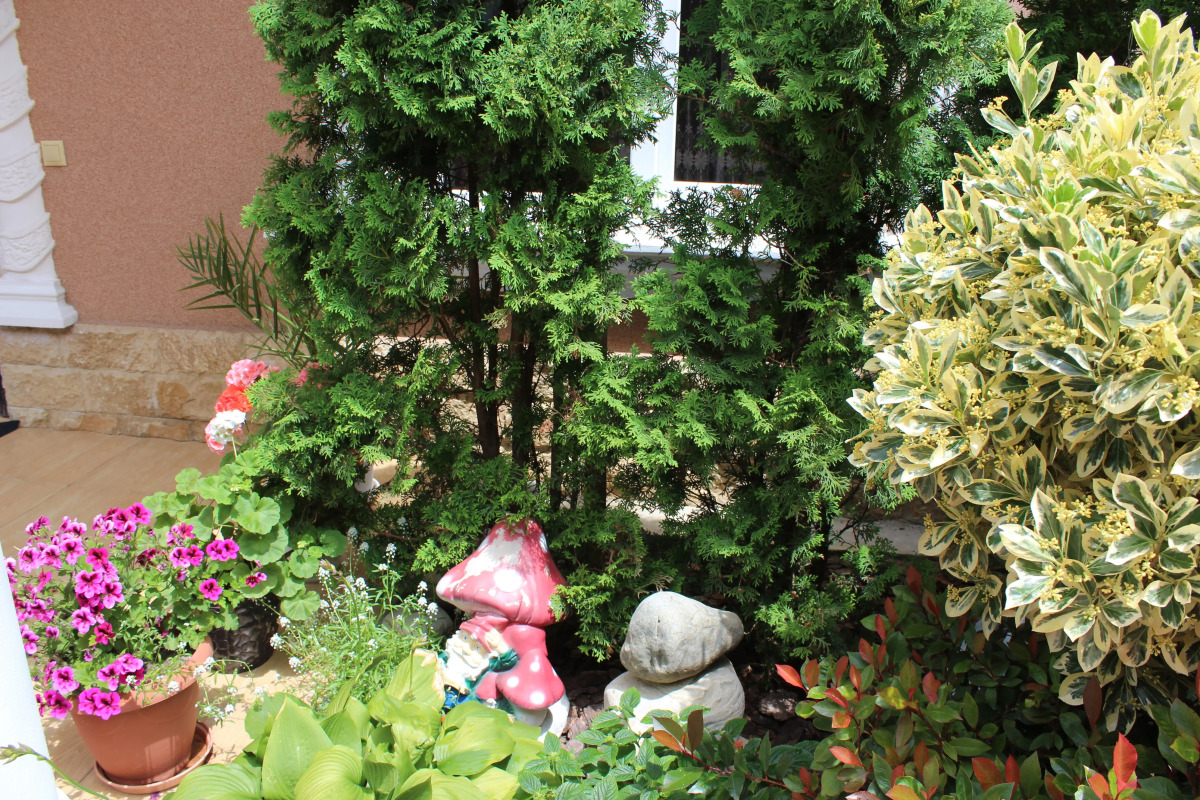 Гостевой дом Dolce Gusto