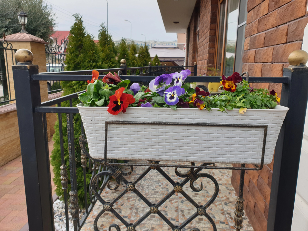 Гостевой дом Celentano