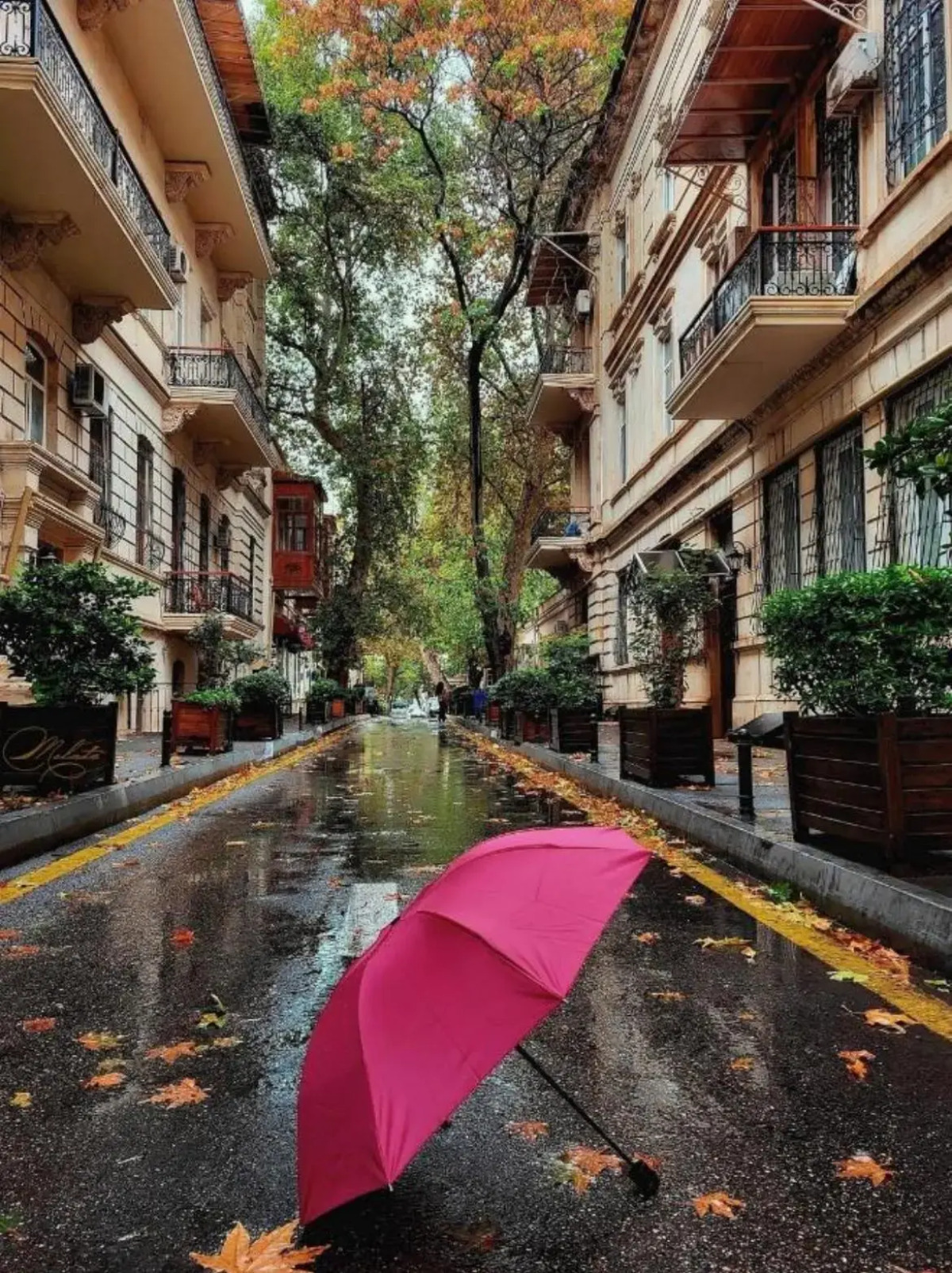 Отель Sazeli Boutique