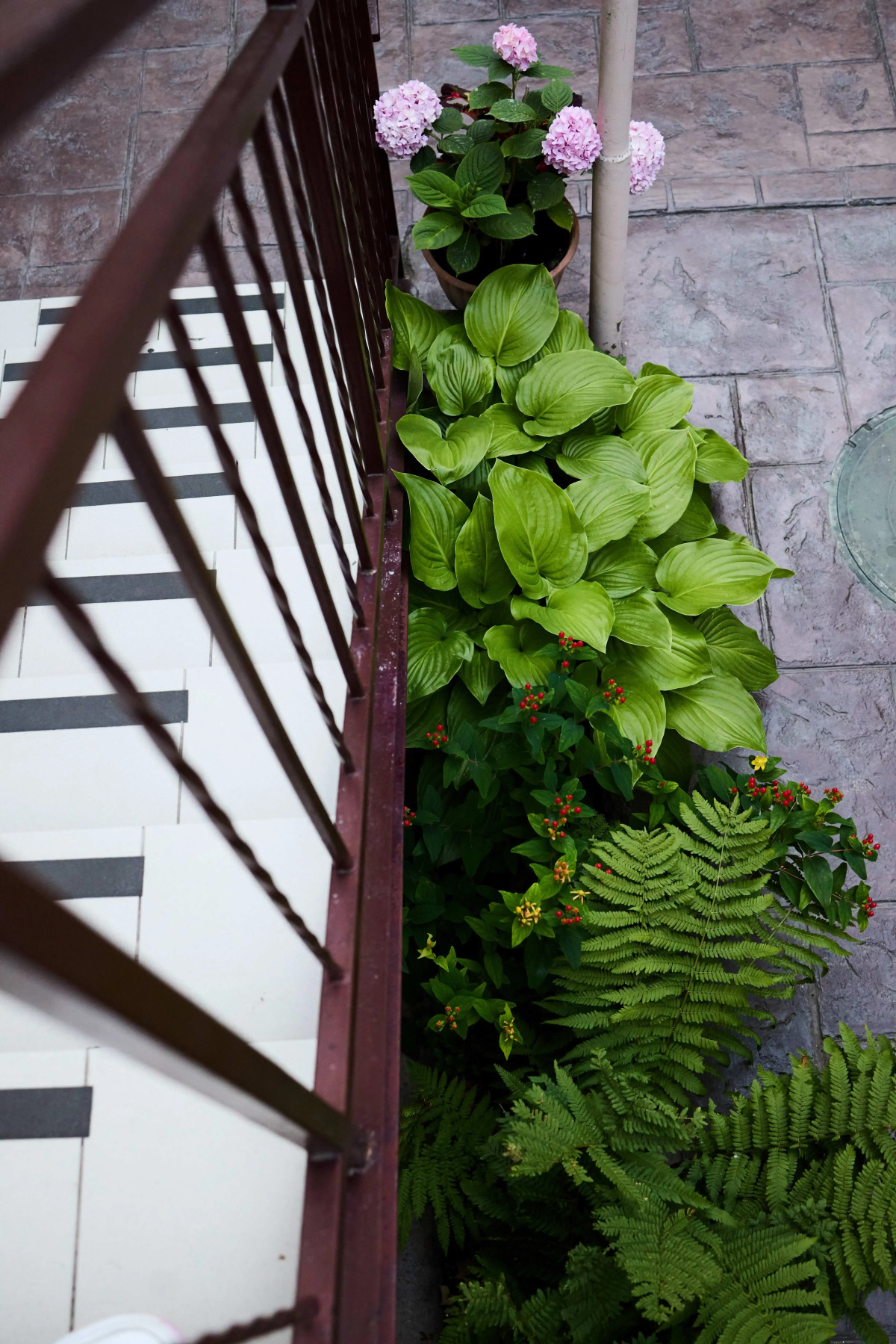 Гостевой дом Дарья+