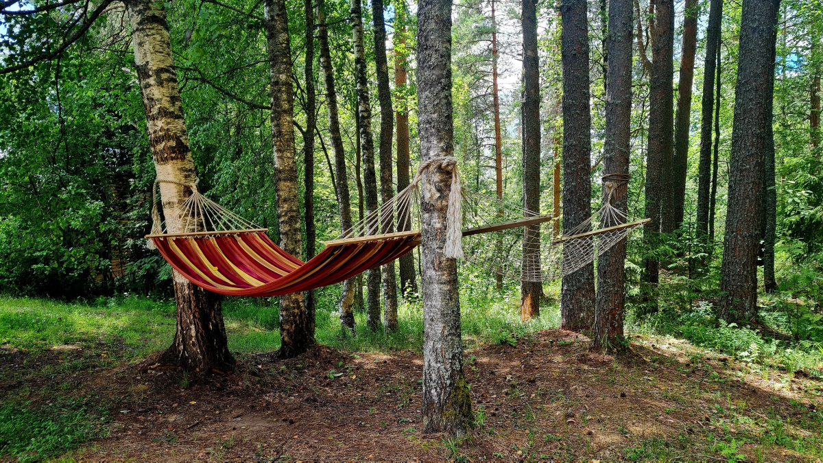 Апартаменты Валдай Пространство мечты