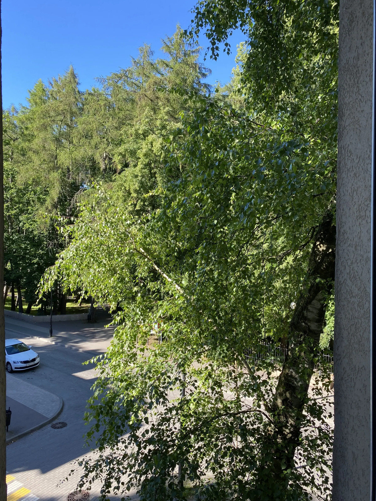 Квартира Уютная квартира в центре Светлогорска