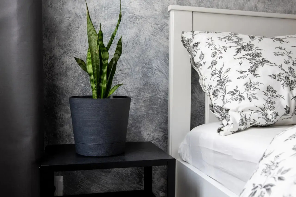 Апартаменты у Кремля