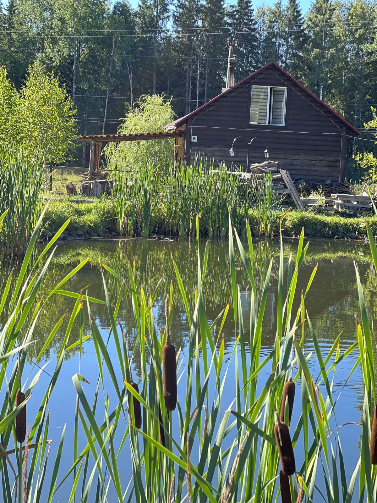 База отдыха Березовка