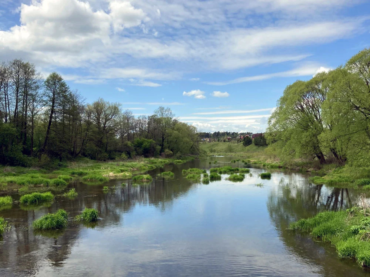 База отдыха Экопарк Бобровый Мыс