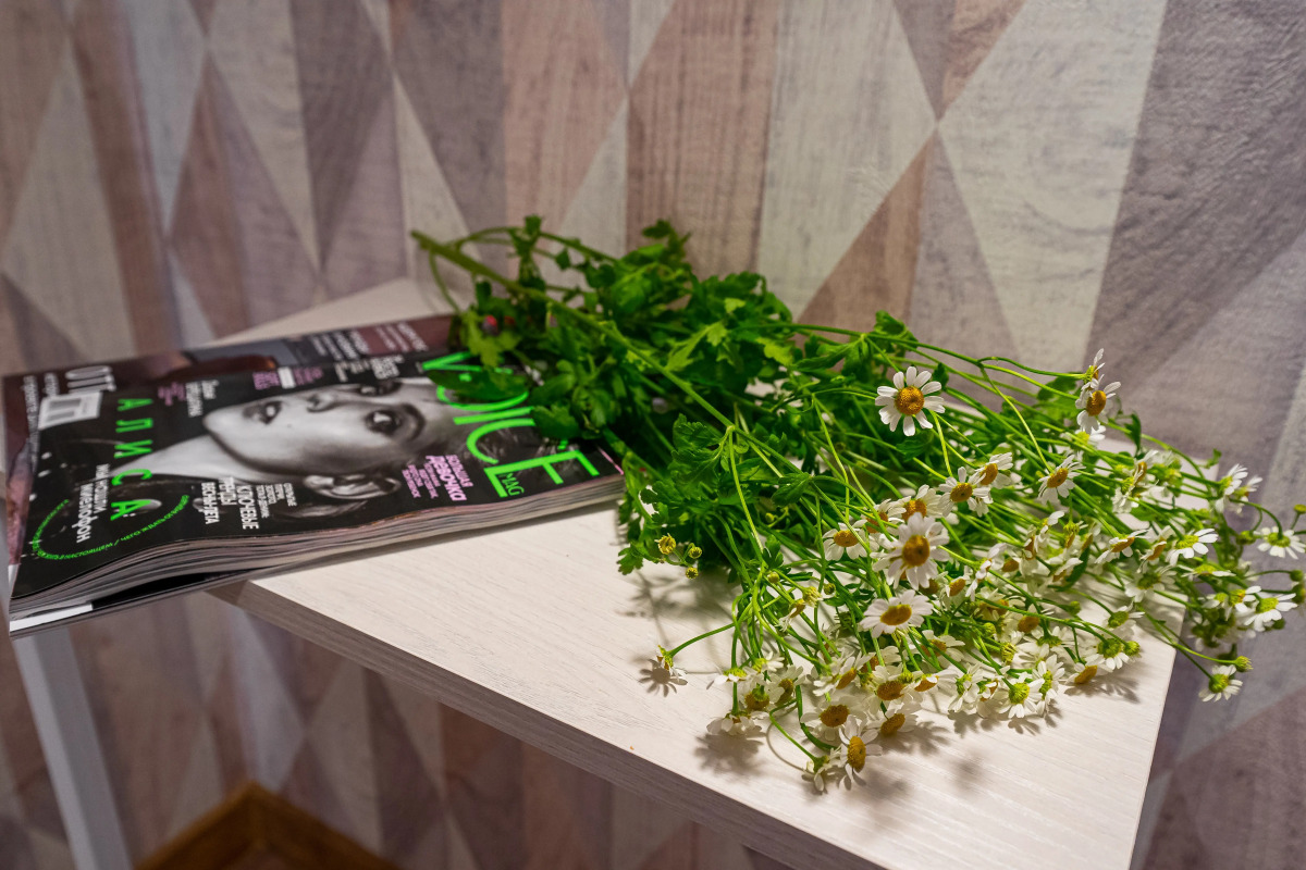 Апартаменты Cozy Evening