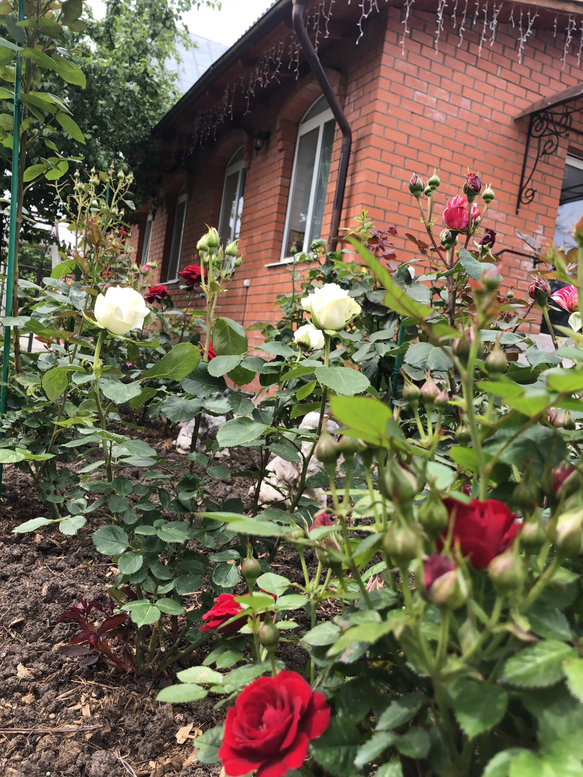 Гостевой дом Волшебный сад