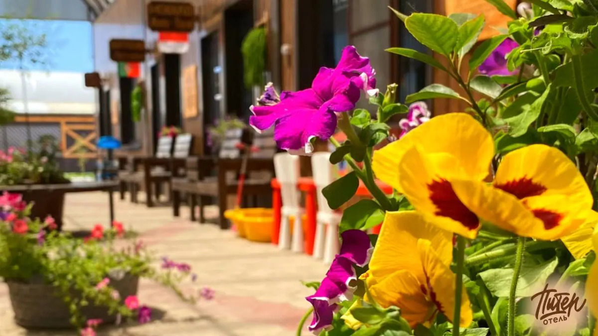 Отель Питер