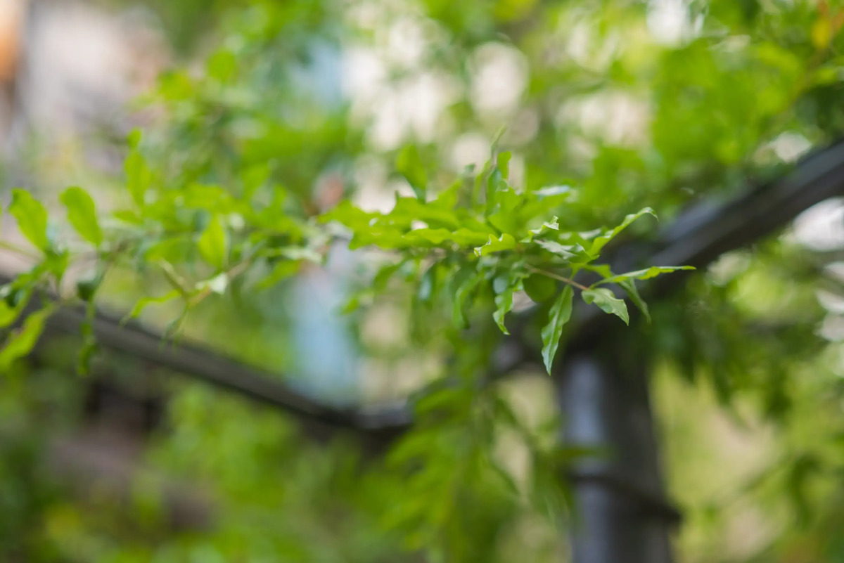 Апартаменты HB apartments Irakli Abashidze