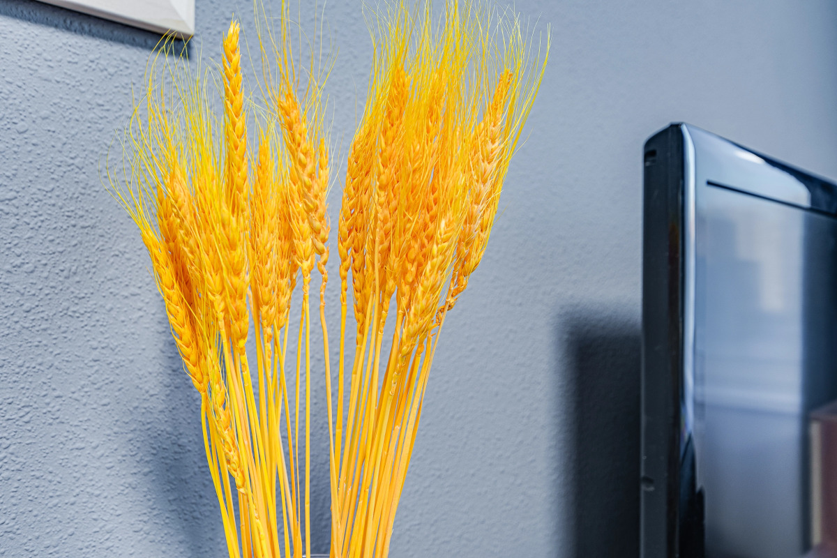 Квартира Submarine PRO MAX