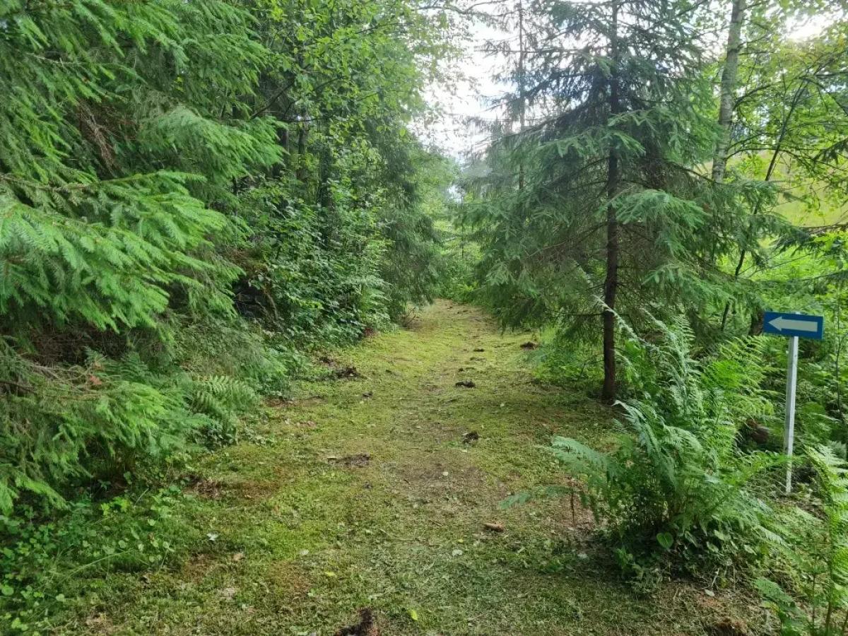 Апартаменты Валдай Пространство мечты 2