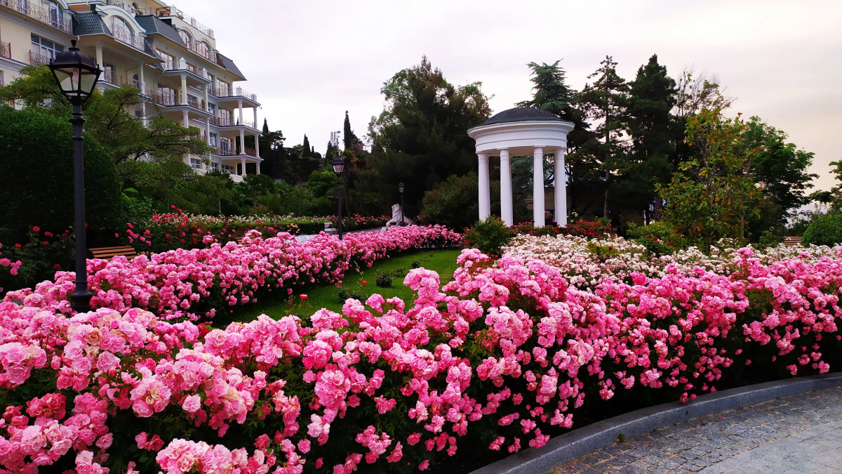 Отель Пальмира Палас