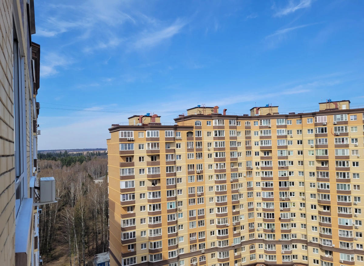 Апартаменты Атмосферная студия в Звенигороде