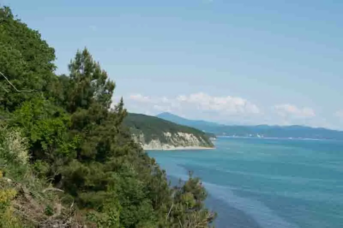 База Отдыха Парк Инал