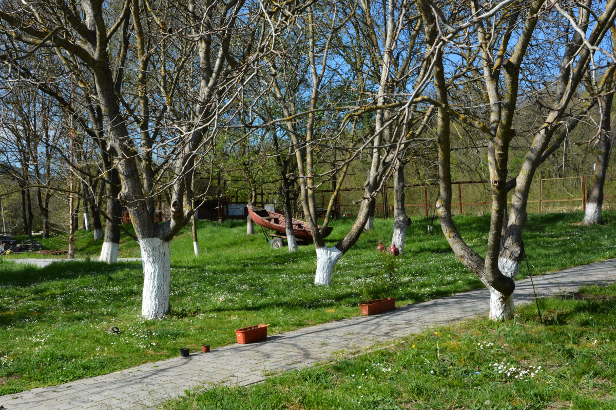 Мини-Отель Озёрное