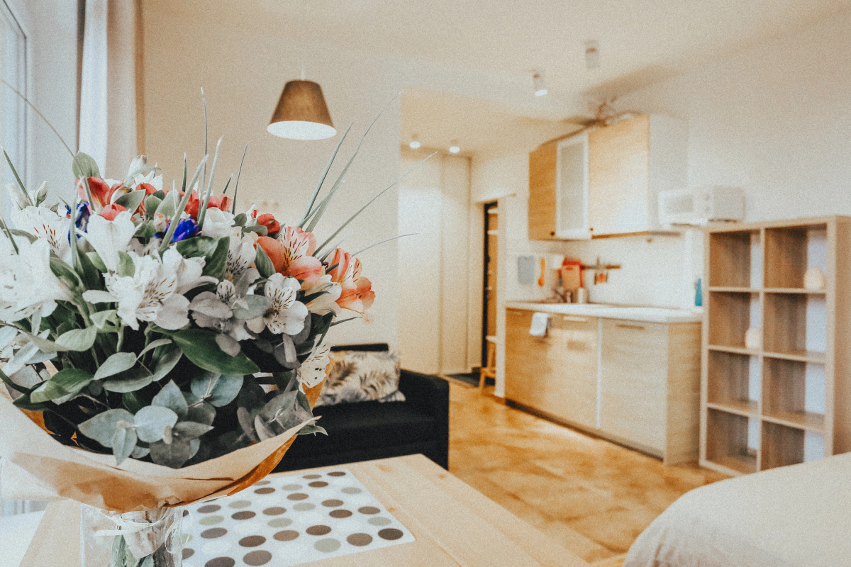 Апартаменты с Видом на Горы 1