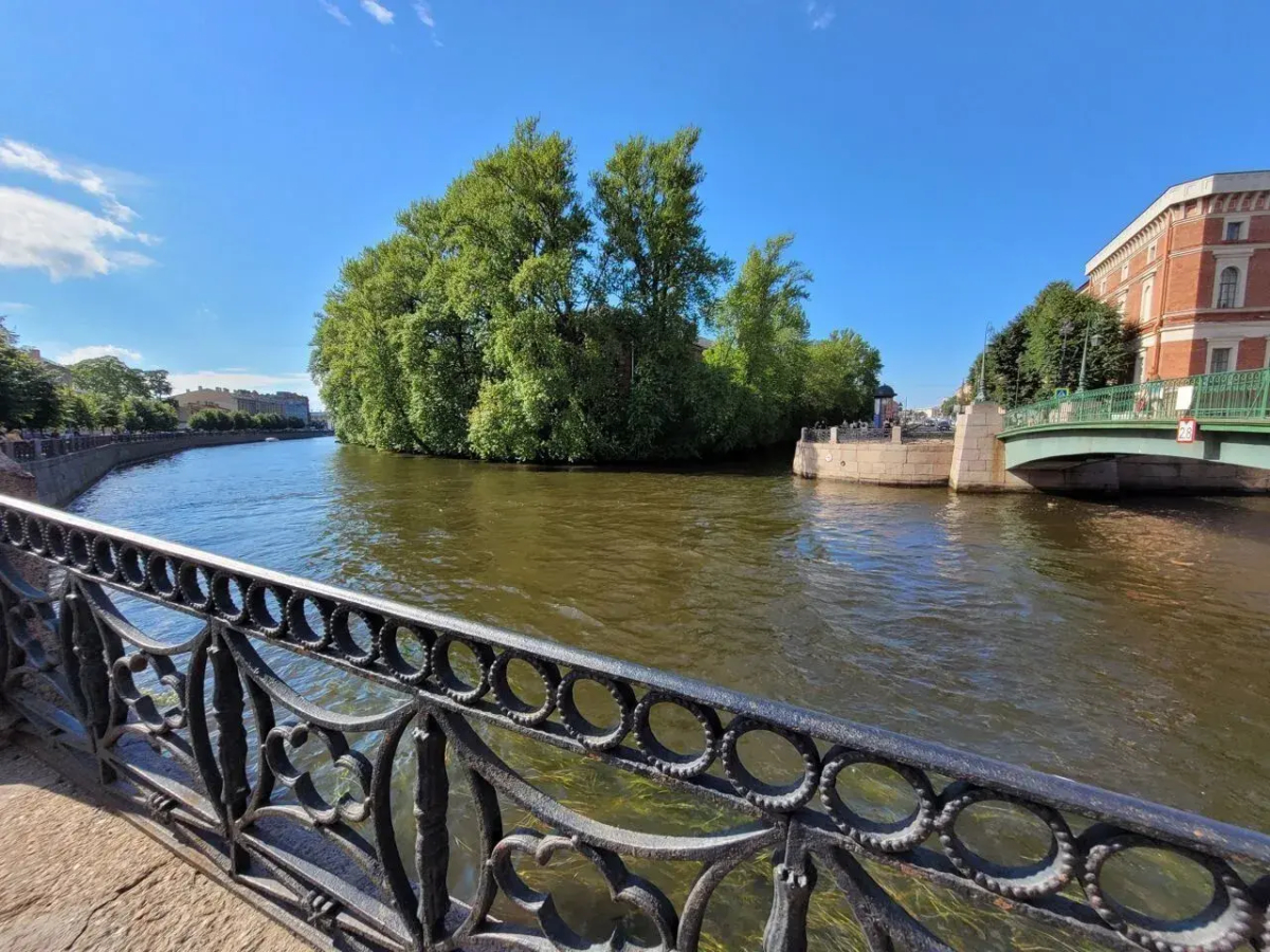 Квартира - студия в иcтoричeскoм цeнтре Санкт-Пeтеpбургa (4)