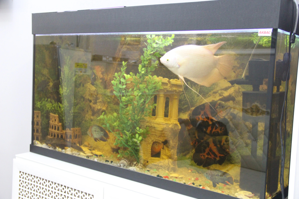 Гостевой дом АБ