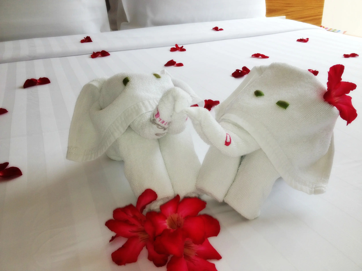 Отель Sacha's Hotel Uno