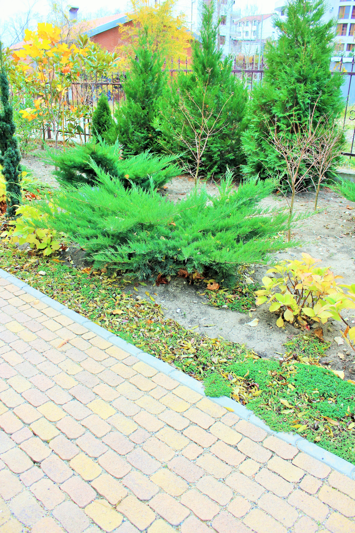 Отель Гермес