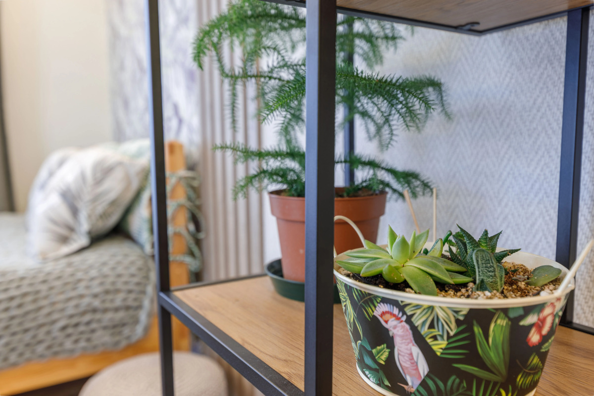 Апартаменты Атмосфера