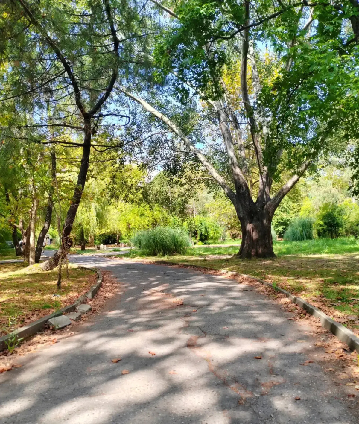 Апартаменты Семейные апартаменты Адлер