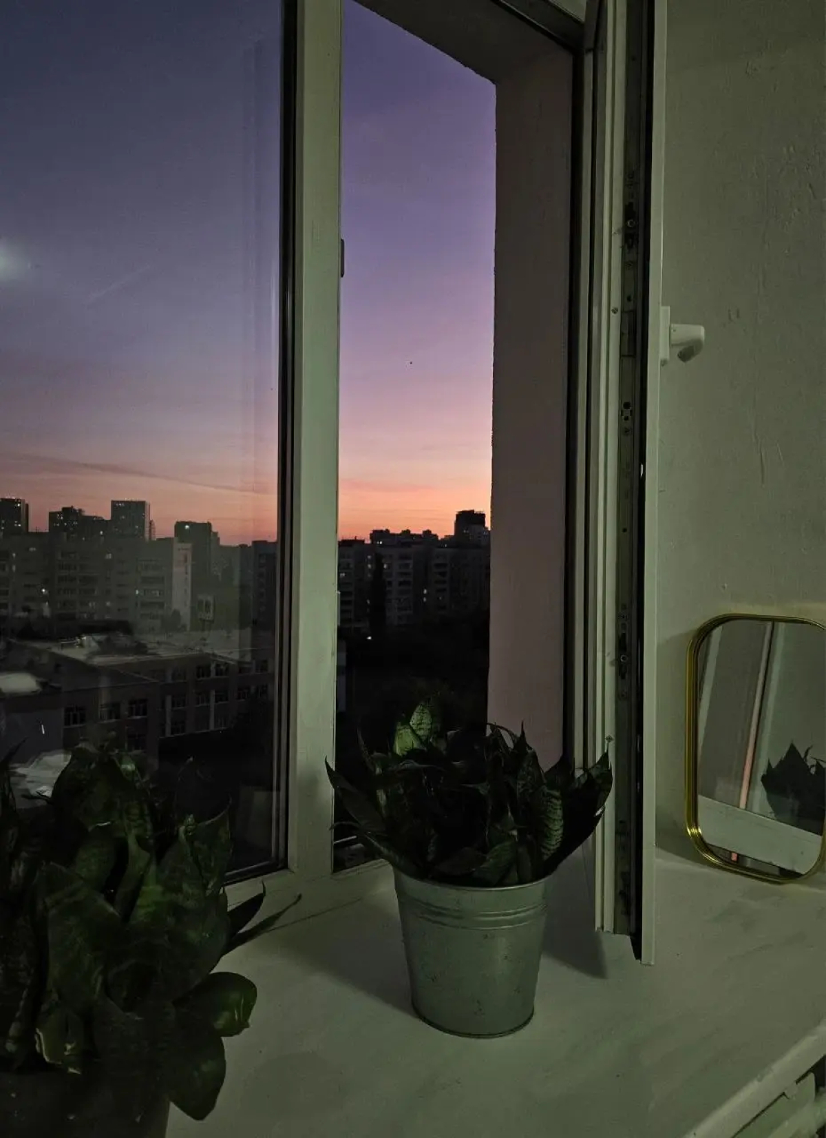 Квартира Ботаника