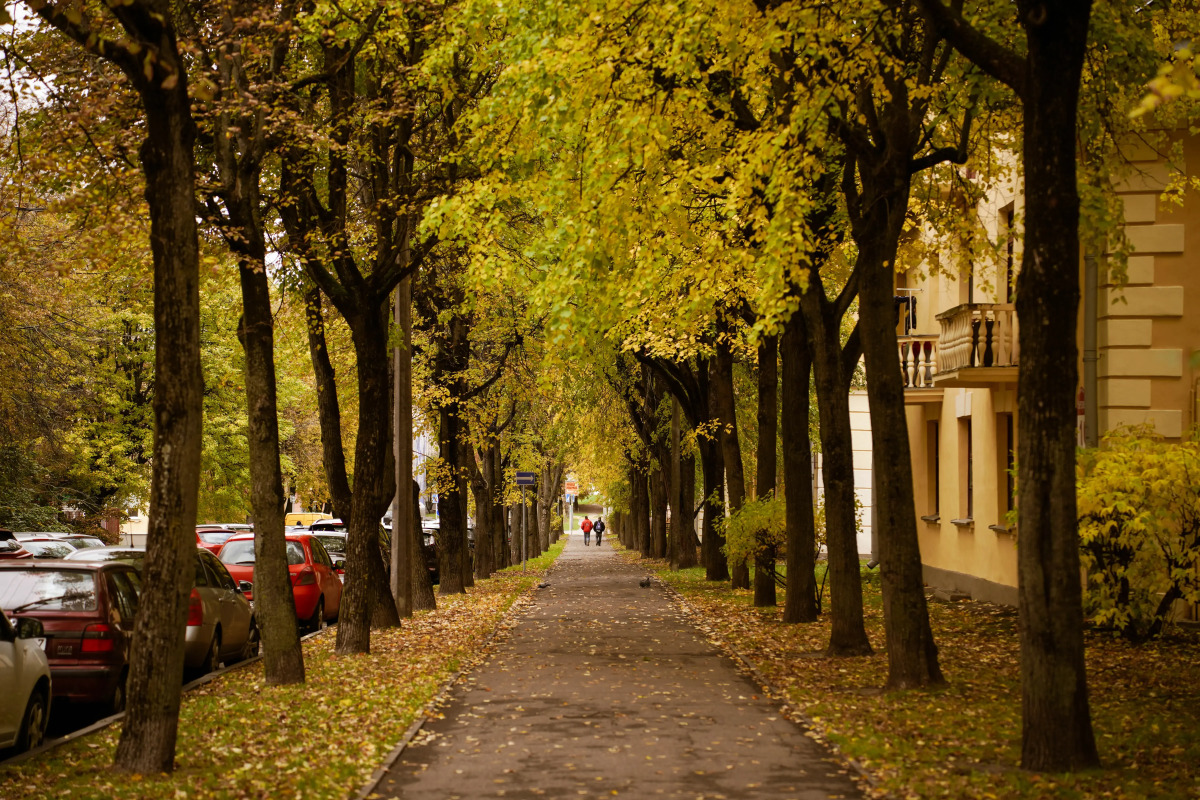 Квартира в уникальной части города