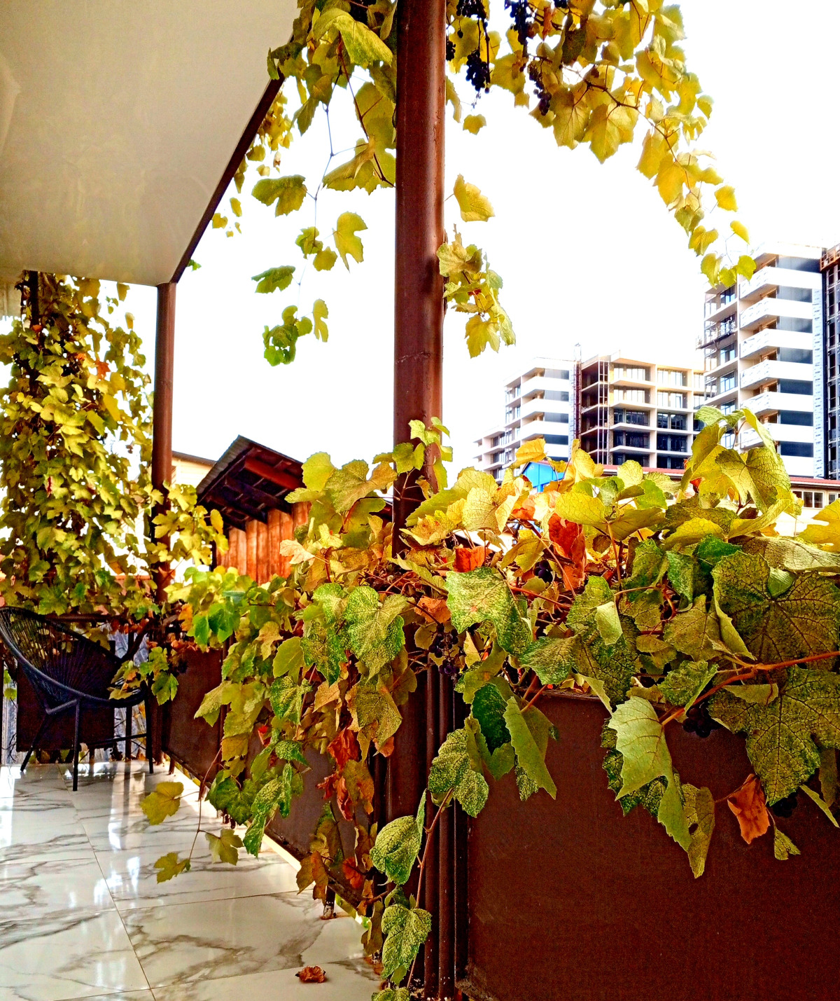 Гостевой дом Калипсо