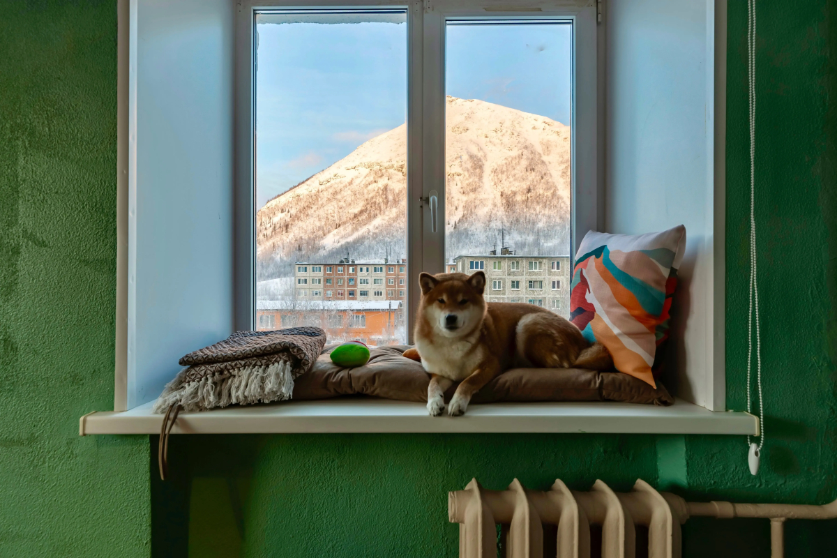 Квартира 2-комн Ностальгия с видом на горы